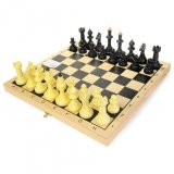 Шахматы Айвенго обиходные (пластик) с деревянной шахматной доской, высота короля 71 мм vl03-016